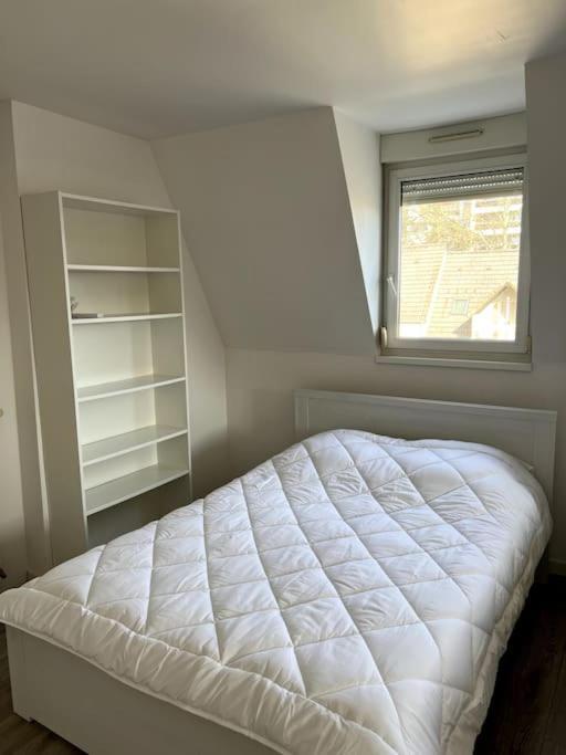 Appartement F5 Maison De Maitre 牟罗兹 外观 照片